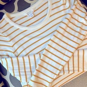 Market & Spruce Zansia Curved Hem French Terry Knit Top Yellow White Women’s M